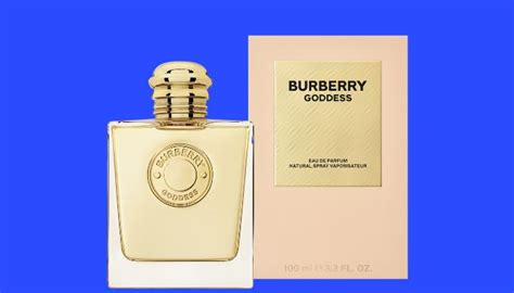 does burberry perfume smell good|perfume similar to burberry touch.